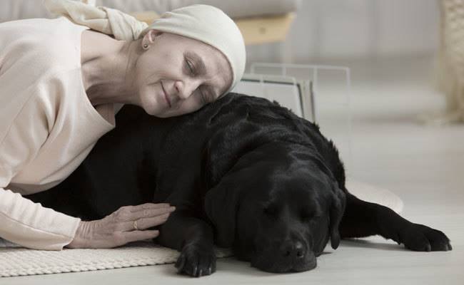 Palliative care
